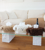 puppy tissue cover, tissue case