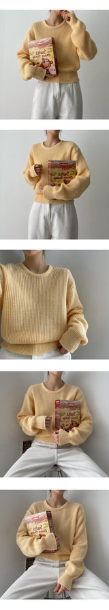 バーベリークロップジップアップ/Burberry Crop Zip-Up