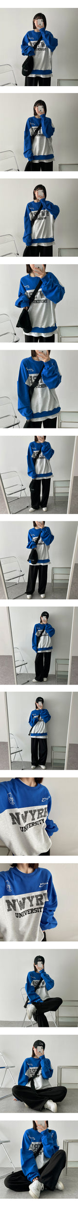 スチールカラードスウェットシャツ / Steel Colored Sweatshirt