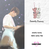 スウィーティーバニー / [seventeen JEONGHAN, S.COUPS, WOOZI, SEUNGKWAN] sweety bunny