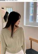 WT Cable V-neck Crop Knit (6color)