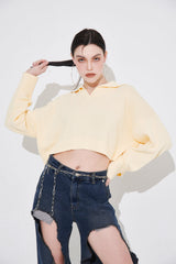 オーガニックコットンカラーニット/ORGANIC COTTN COLLAR KNIT
