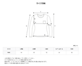 ASCLO モヘアブラッシュボーダーニット
