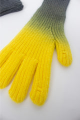 gradation gloves (7 color)