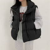 ウェルオン オーバーフィット パテッド ベスト / [44-99 possible] Wellon Overfit Padded Vest
