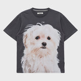 マルチーズフェイス半袖Tシャツ