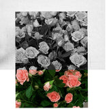 Rose vine case