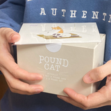 パウンドキャットハンドドローイングポストカード / Poundcat hand drawing postcard