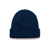 ARC ロゴビーニー / BSR2223FWBN044 ARC LOGO BEANIE BLUE