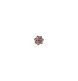 TEMPUSバッジ / TEMPUSBADGE