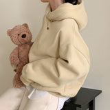 [Bellide made/fleece-lined wool] Berrygood fleece-lined wool embroidery hoodie
