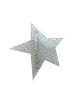 アクリルスタースターヘアピン / Acrylic Star Star Hairpins