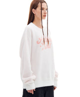 ヘアリースターロゴニット