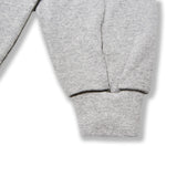 VZロゴビックオバーフィットポケットロングスリーブグレー/VZ Logo Big Over Fit Pocket Long Sleeve Gray (6683336540278)