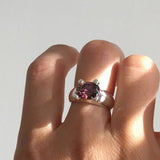 mushroom ring brown
