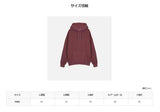ASCLO ウォーム ピグメント トレーニング セットアップ (4color)