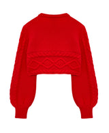 Cropped sweater (With slip)                     