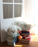 puppy tissue cover, tissue case