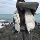 [BELLIDE MADE] Vintage Pigment Crop Hoodie