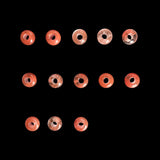 Donut (24color)