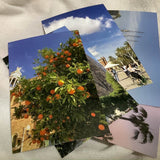 barcelona postcard set (5P)