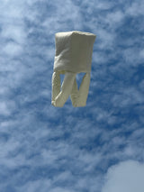 Ugly Bag