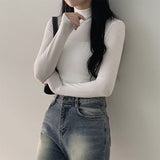 Saru Basic Slim Fit Turtleneck Long-Sleeved T-Shirt (12 colors)