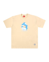 paragraph 8 Color [送料無料]正規品 (6542403567734)