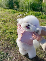 Purity puppy MTM