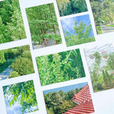 フォレスト ステッカーパック / Forest Sticker Pack(10 sheets)