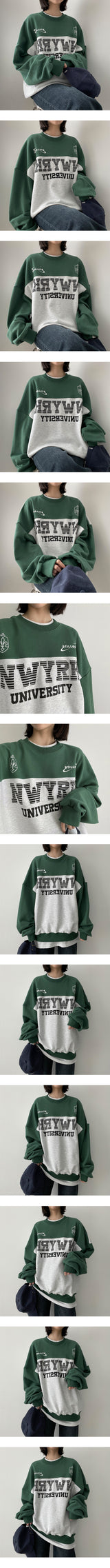 スチールカラードスウェットシャツ / Steel Colored Sweatshirt