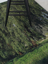 green willow rug - L