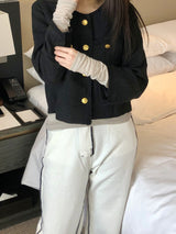 セティアＴシャツ