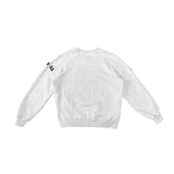 デザイアラグランヘビースウェット/DESIRE RAGLAN HEAVY SWEATSHIRTS