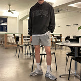 LMN Hister Virginia Pigment Hoodie (2 colors)