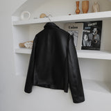 Pleddy Crop Leather Jacket (2color) (6676057096310)