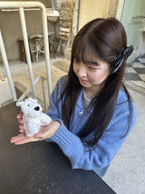 Cosymosy ウェストテリアキーリング
