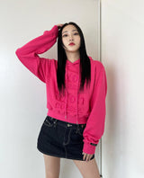 SEMI CROP SEASONS LOGO EMBROIDERY HOODIE